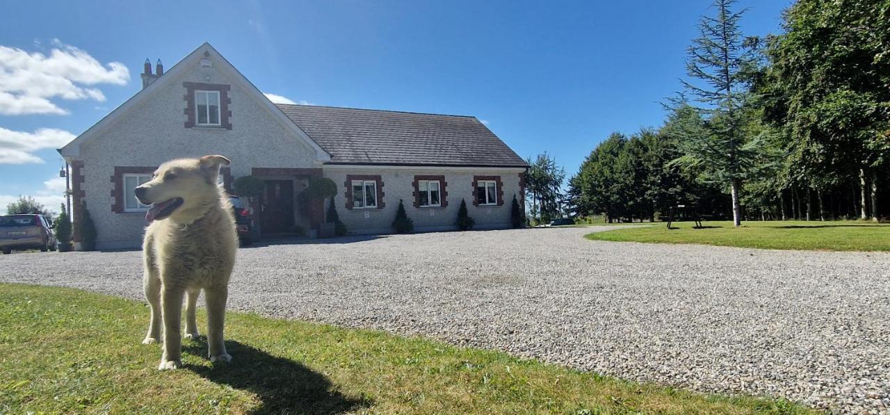 Littlefield B&B Durrow, Laois Exterior photo